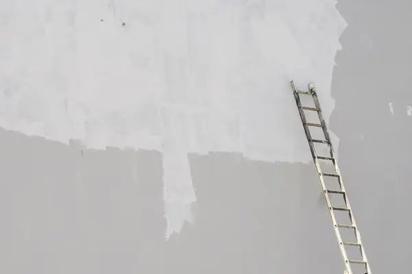 Exterior painting in Santa Rosa: ladder against a freshly primed wall